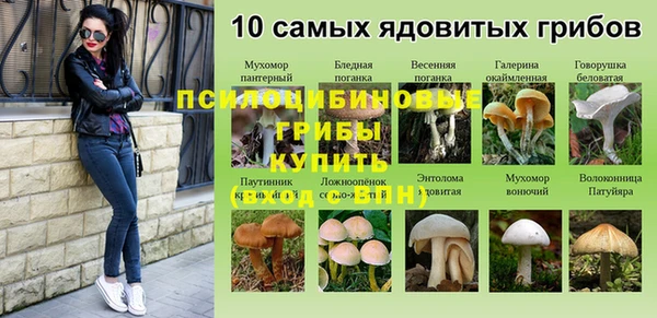 соль ск Алексеевка